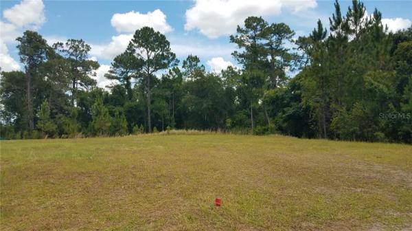 LIVE OAK RESERVE UNIT FOUR