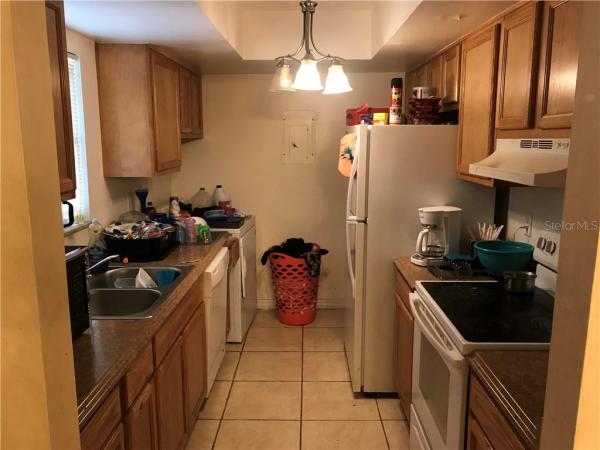 LEMON TREE SECTION 1