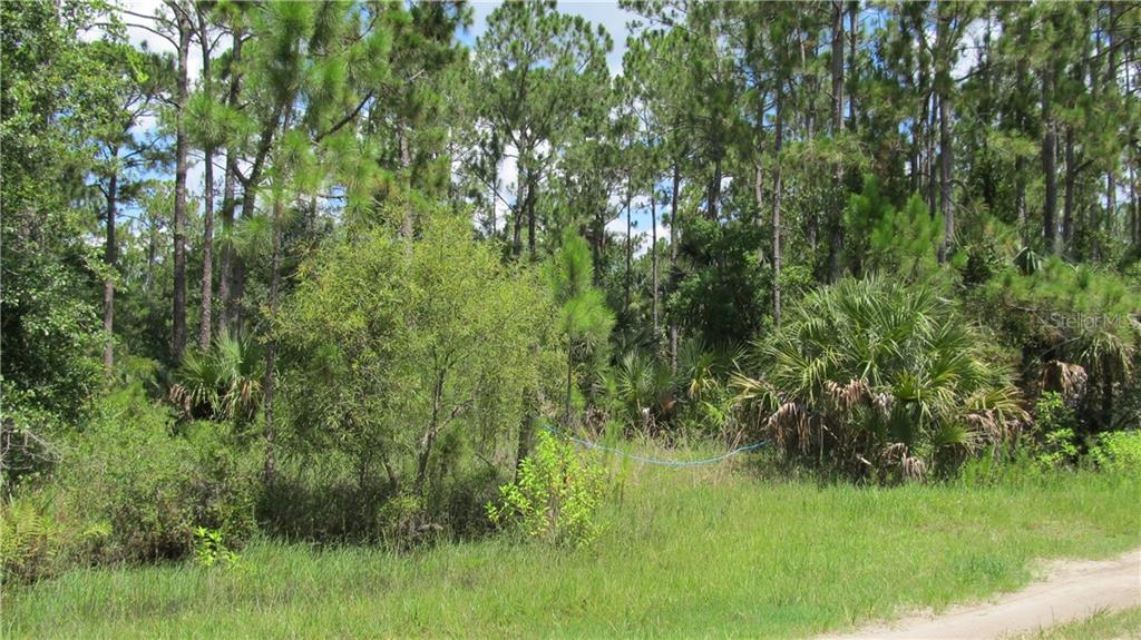 LAKE HARNEY ESTATES 5 ACRE DEV 256 PARCELS - фото