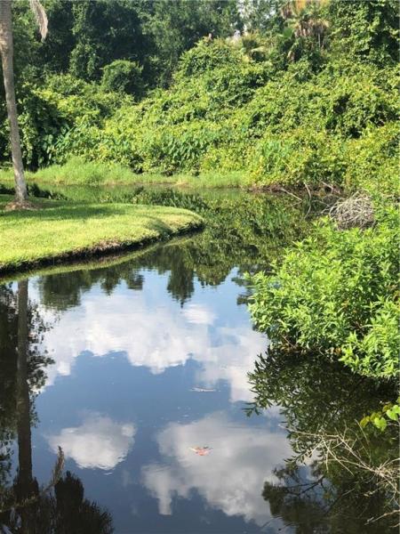 ORCHID SPGS VILL 100 CONDO