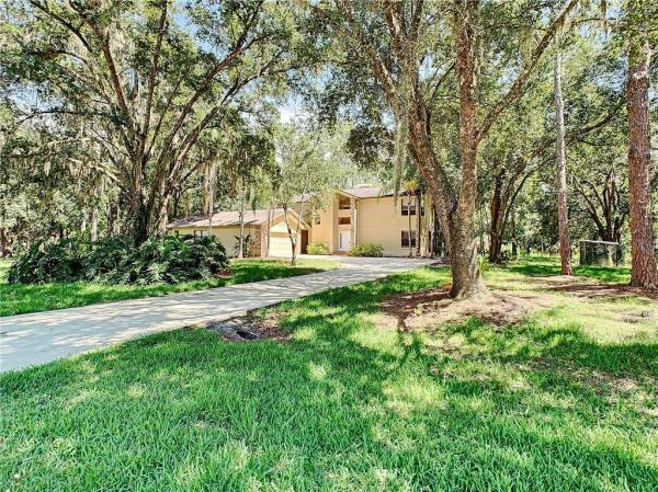 HOMESTEADS SADDLEWOOD