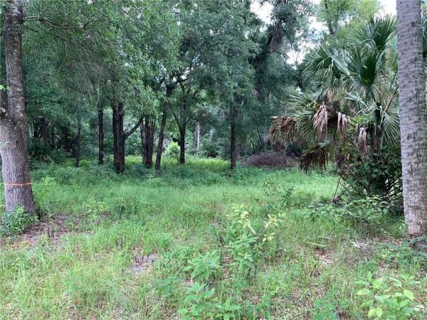 NORRIS DUPONT & GAUDRY GRANT