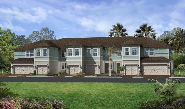 TOWNS AT BELLEAIR GROVE