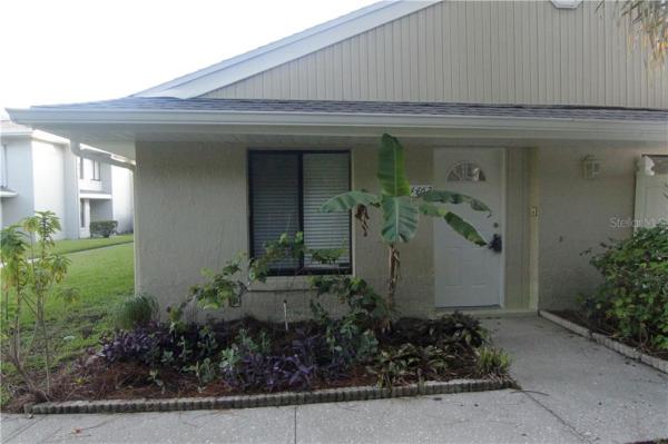 PINE SHADOWS PHASE 4