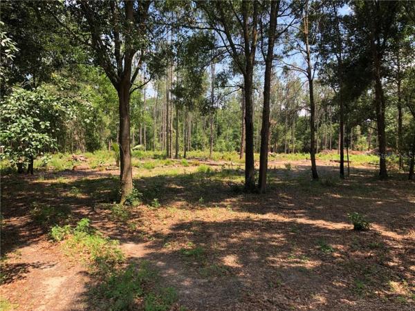 TANGELO TERRACE ESTATES