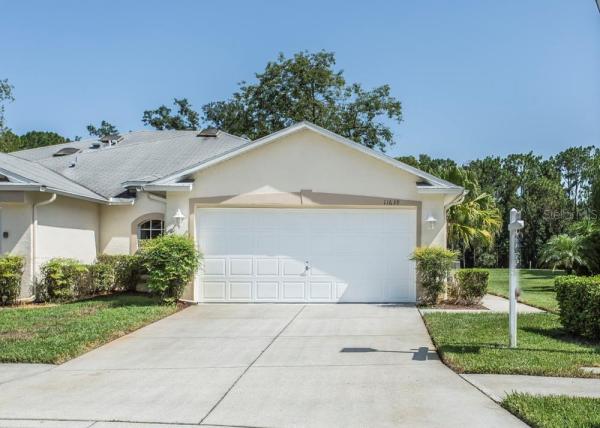 SUMMERTREE 01A PH 01