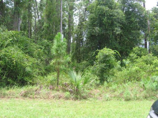 PORT CHARLOTTE SUB 23