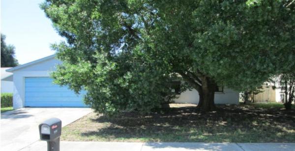 ORCHID LAKE VILLAGE EAST