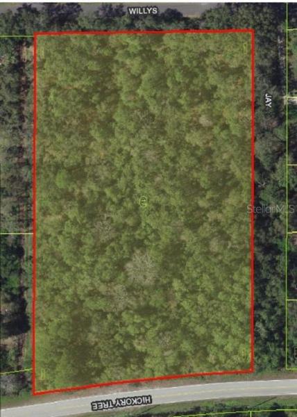 SEMINOLE LAND & INV CO