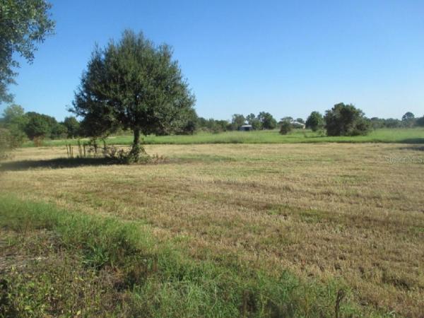 OKEECHOBEE LITTLE FARMS