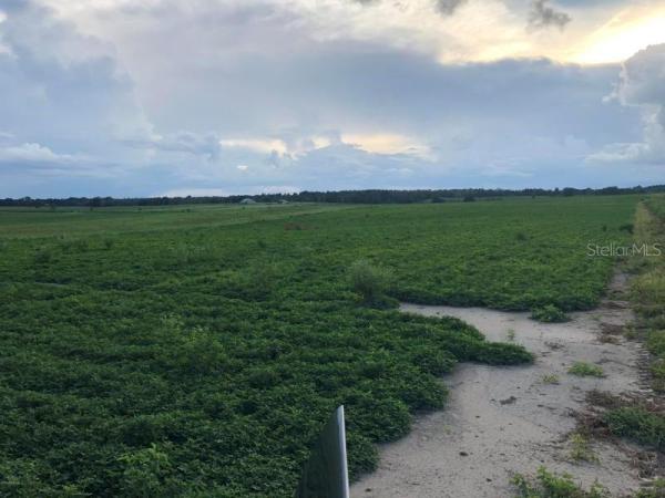 MEADOW RIDGE RANCHES SOUTH