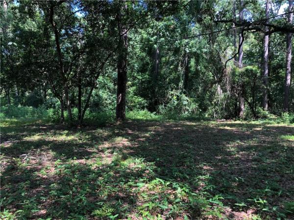 LAKE WEIR RANCHETTES