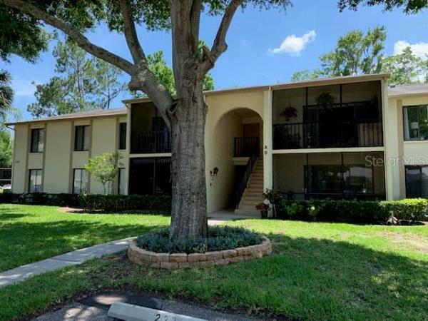 PINE RIDGE AT LAKE TARPON VILLAGE