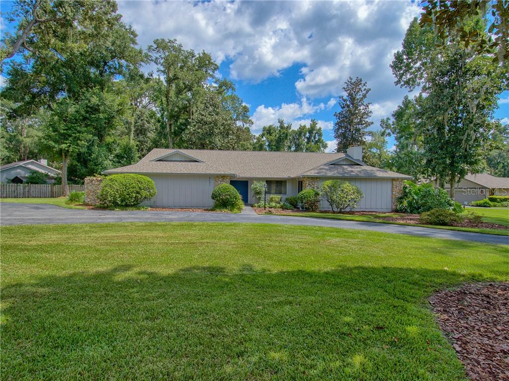 DEEP WOODS - фото