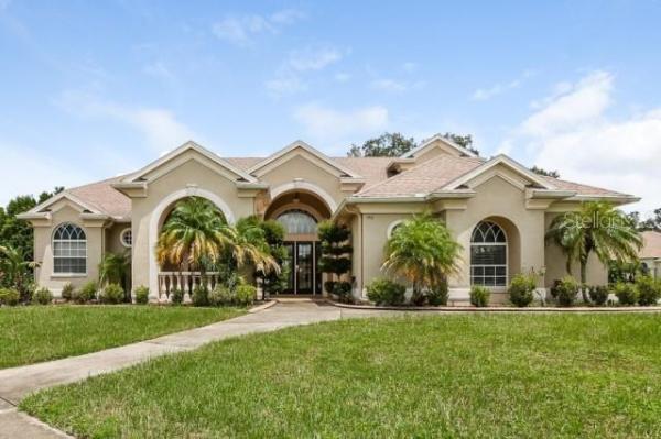 GREY HAWK AT LAKE POLO