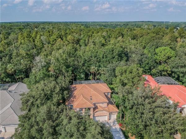 TAMPA PALMS AREA 02 UNIT 7D