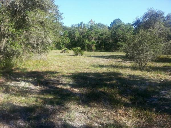 WATERBURY TRACTS CTD