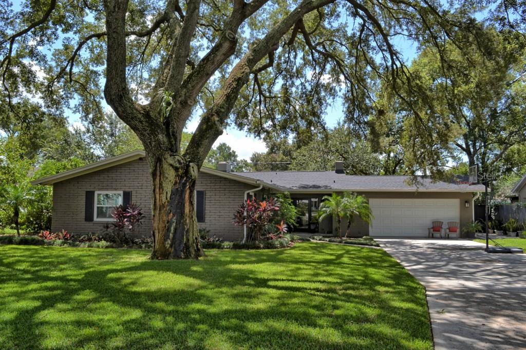 DOMMERICH HILLS - фото