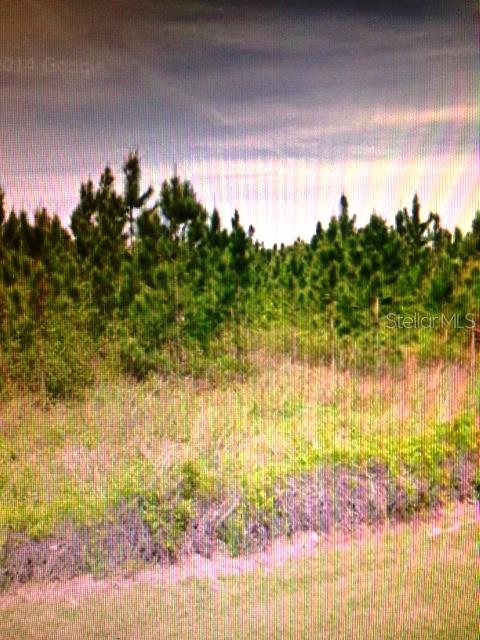 ACREAGE & UNREC - фото