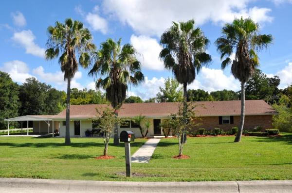 D R MITCHELLS SURV OF THE LEVY GRANT