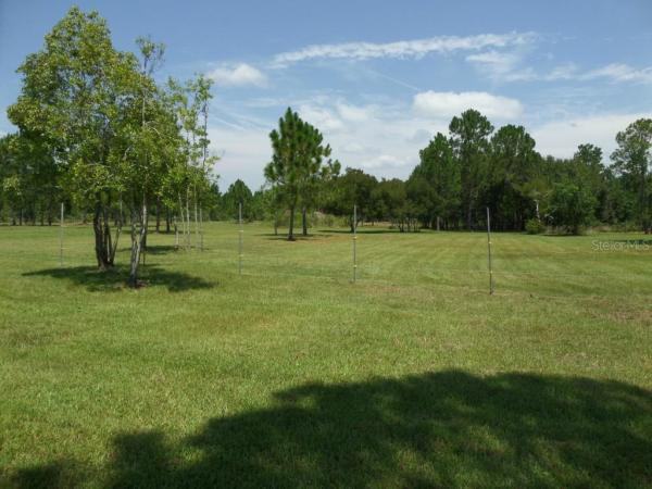 UNIVERSITY HIGHLANDS