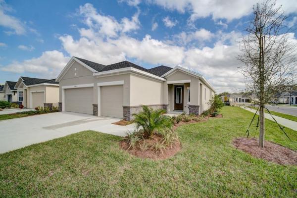 SERENOA AT AVALON GROVES