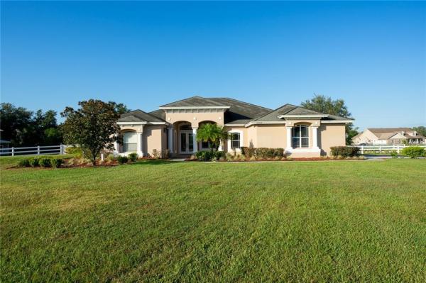 CITRUS GREEN A COMPLETE REP