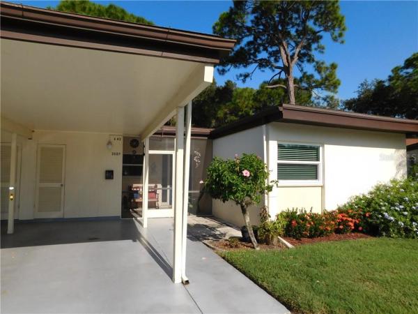 VILLAGE IN THE PINES 1