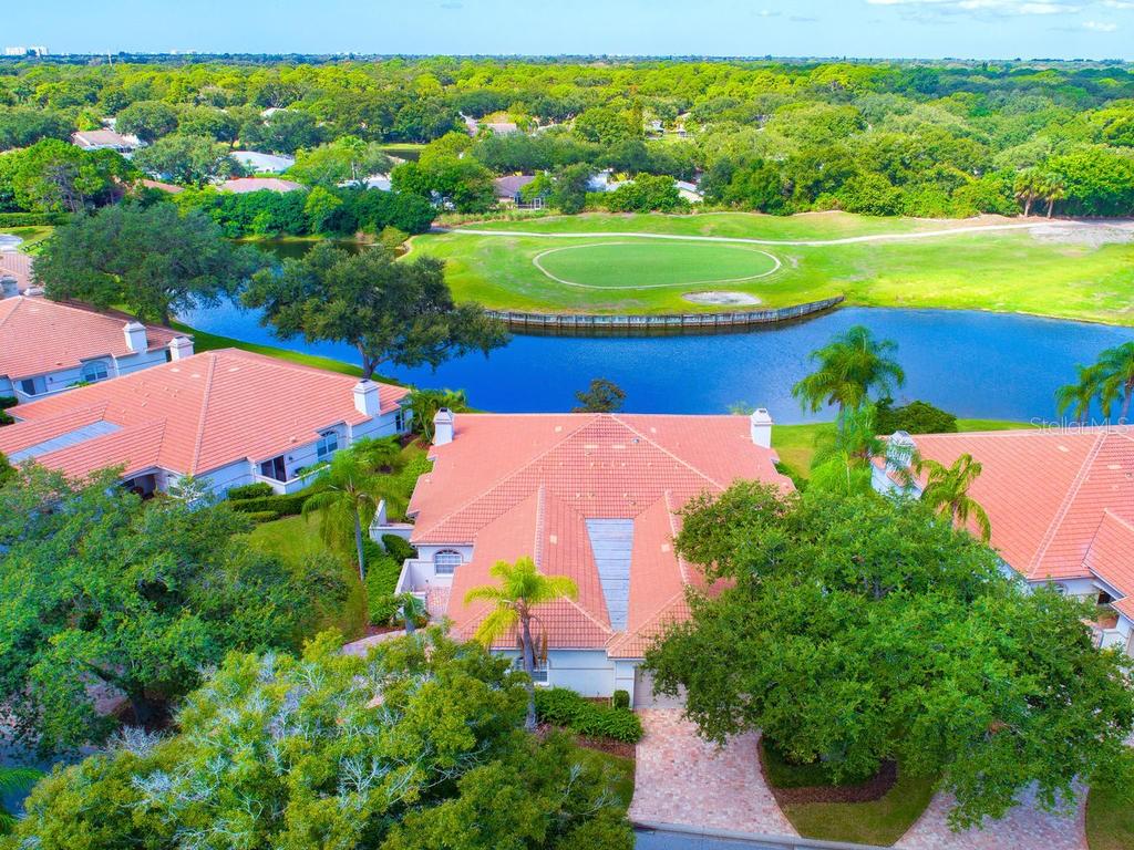CHATSWORTH GREENE - фото