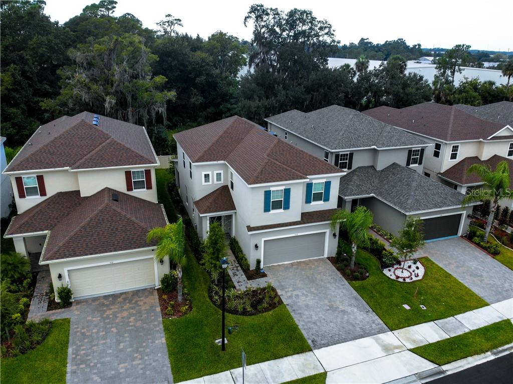 THORNBROOKE - фото