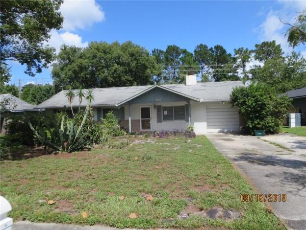 SKY LARK IN THE WOODS