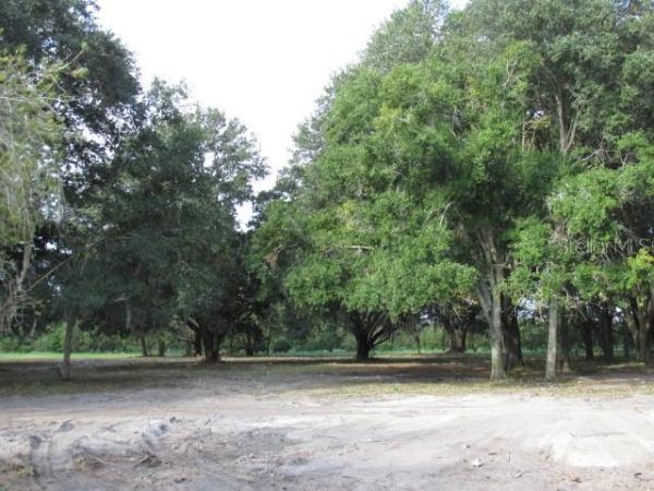 SEMINOLE LAND & INV CO