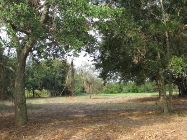 SEMINOLE LAND & INV CO