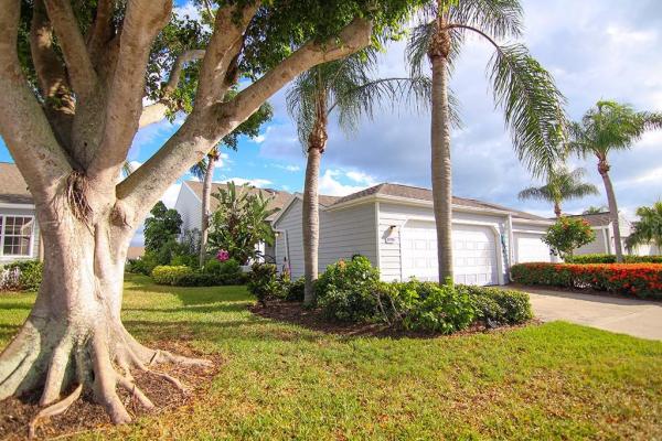 SPOONBILL LANDING AT PERICO BAY