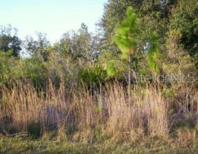 POINCIANA NBRHD 06 SOUTH VILLAGE 03