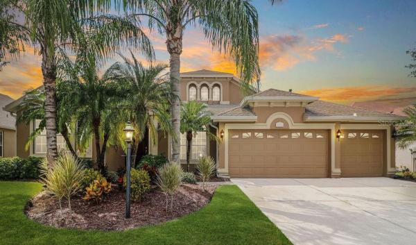 MAGNOLIA HAMMOCK AT UNIV PLACE