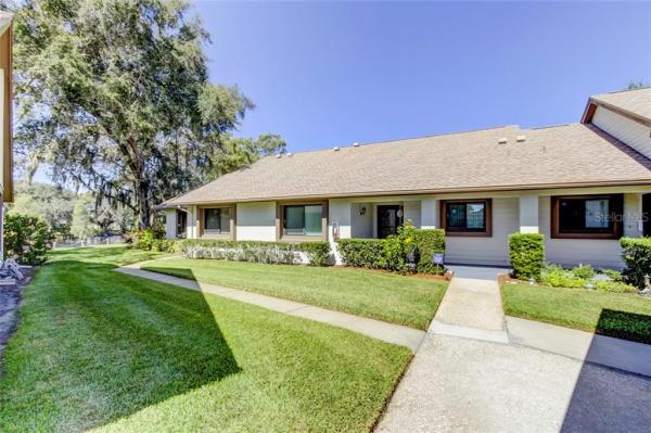 VILLAGE ON THE GREEN