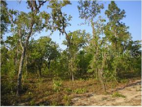 High Springs Hills(885)