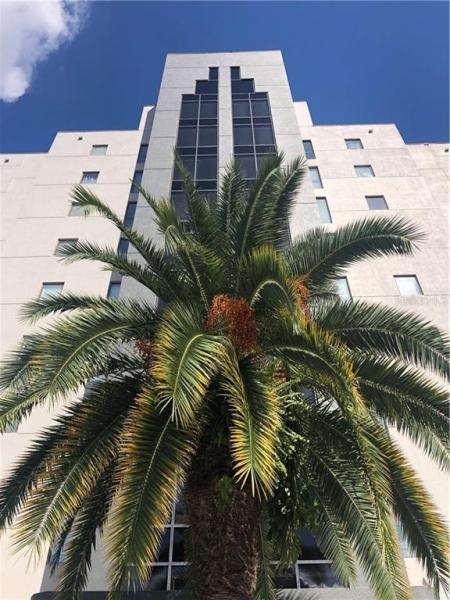 ENCLAVE AT ORLANDO PH 02