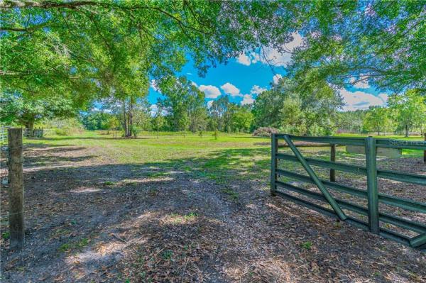 S AND W OF PLANT CITY/WALDEN LAKE AREA