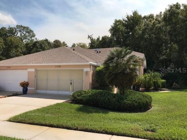 SUMMERTREE 01A PH 01