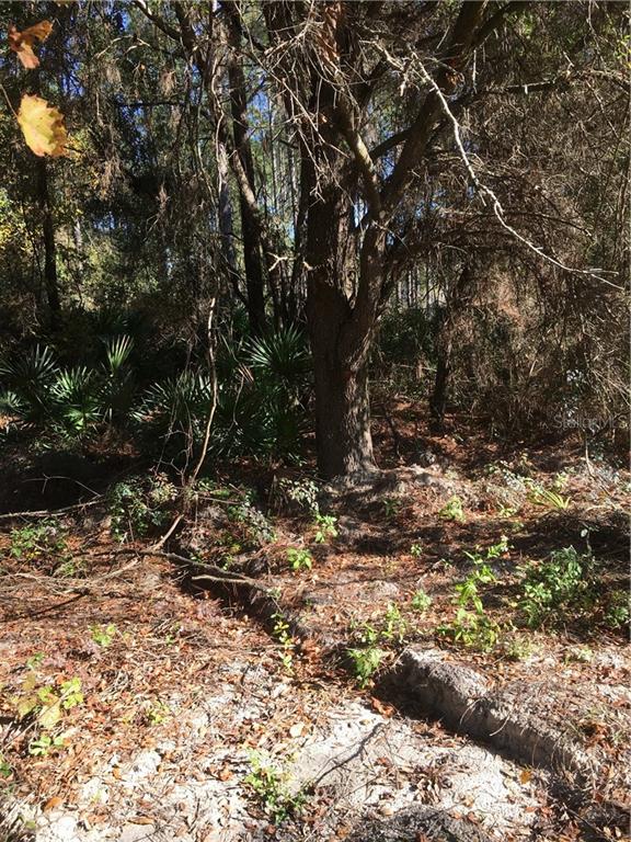 FLORIDA HIGHLANDS 228-230