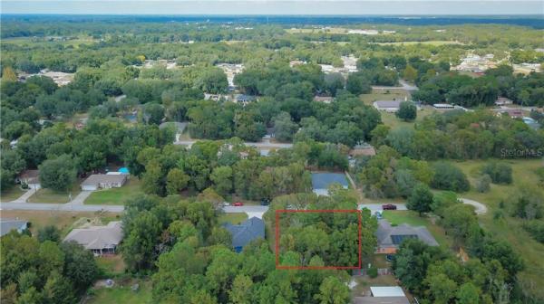 ORANGE BLOSSOM HILLS UN 09