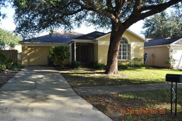 BRANDON BROOK PH IIIA