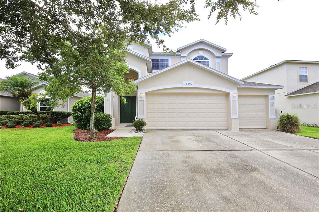 STONEYBROOK - фото