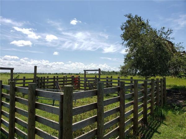 SOUTHERN HOMESTEADS 02