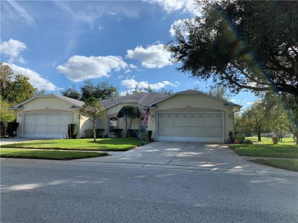 SUMMERTREE 01A PH 01