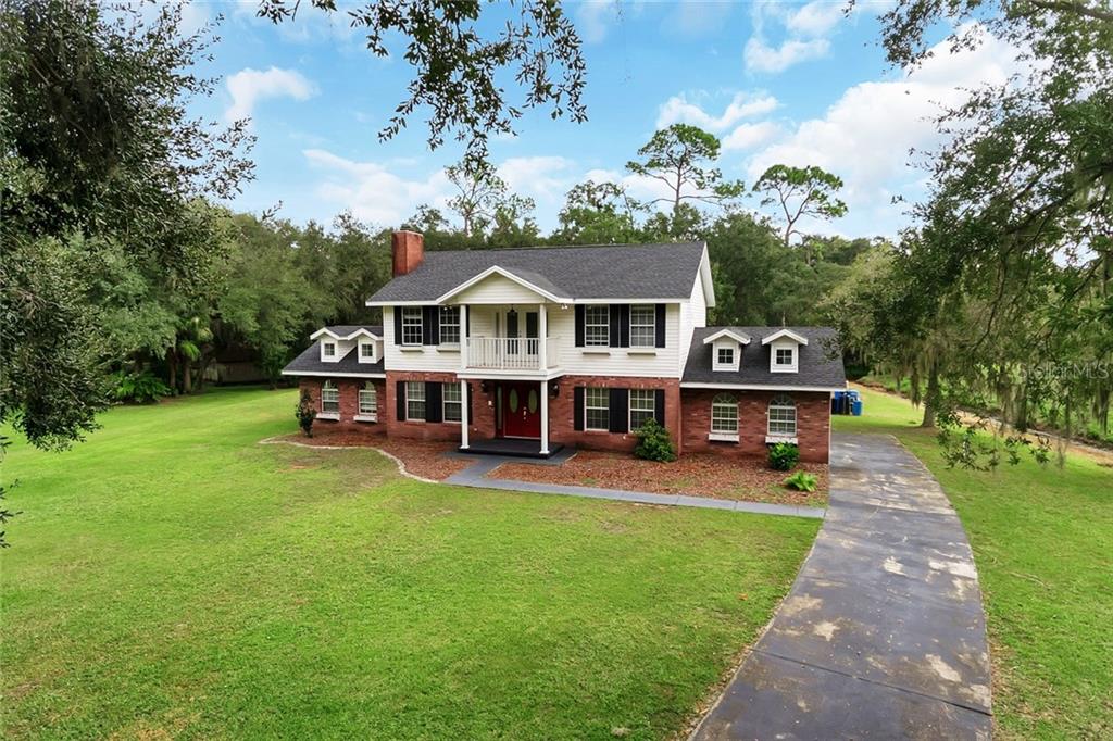 FOREST UNIT 01 - фото