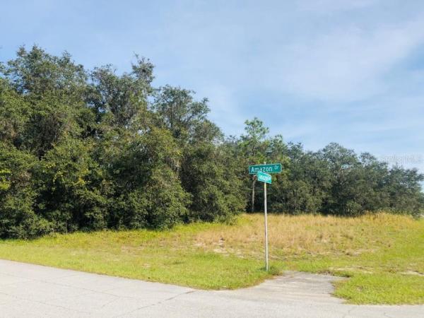 POINCIANA NBRHD 02 WEST VILLAGE 07