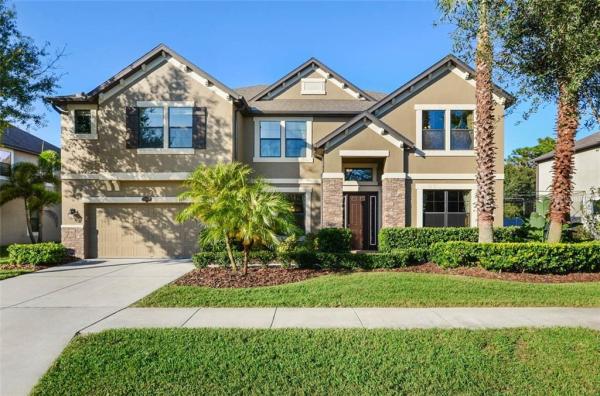 PANTHER TRACE PH 2B-3